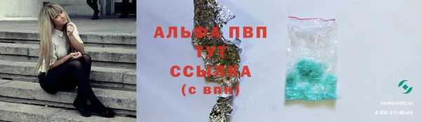 Альфа ПВП Новодвинск