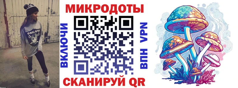 Псилоцибиновые грибы Psilocybine cubensis блэк спрут как войти Фрязино